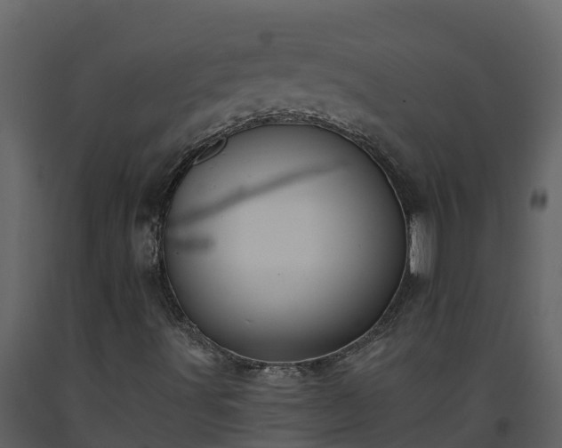 X0000093461491200710191113