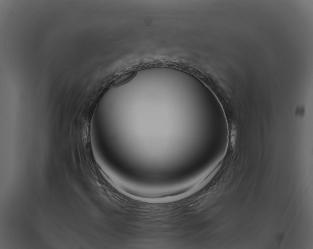 X0000093461492200710191113