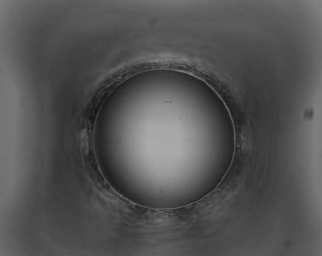 X0000093461493200710191113