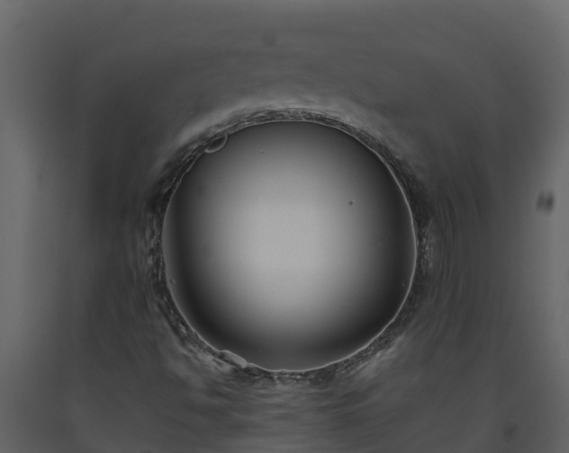 X0000093461494200710191113