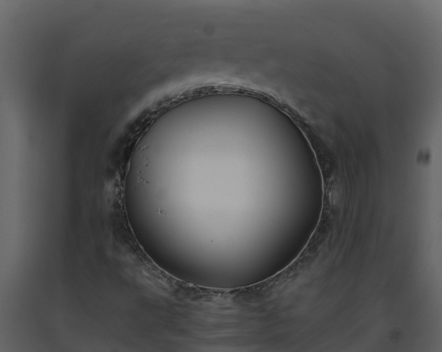 X0000093461495200710191113