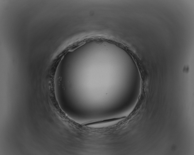 X0000093461496200710191113