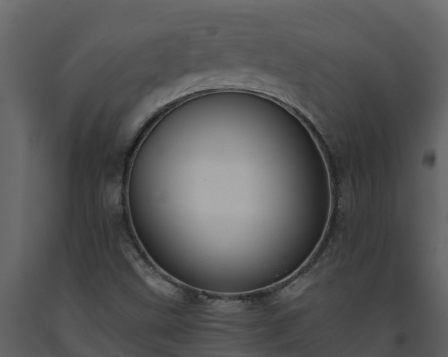 X0000093461499200710191113