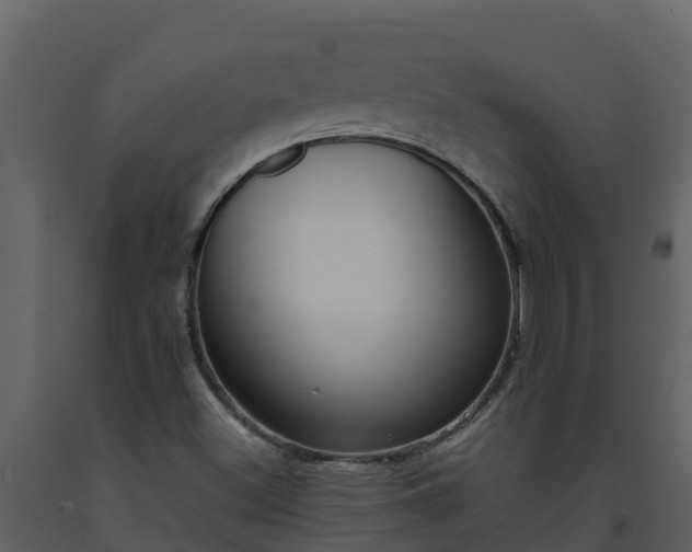 X0000093461500200710191113