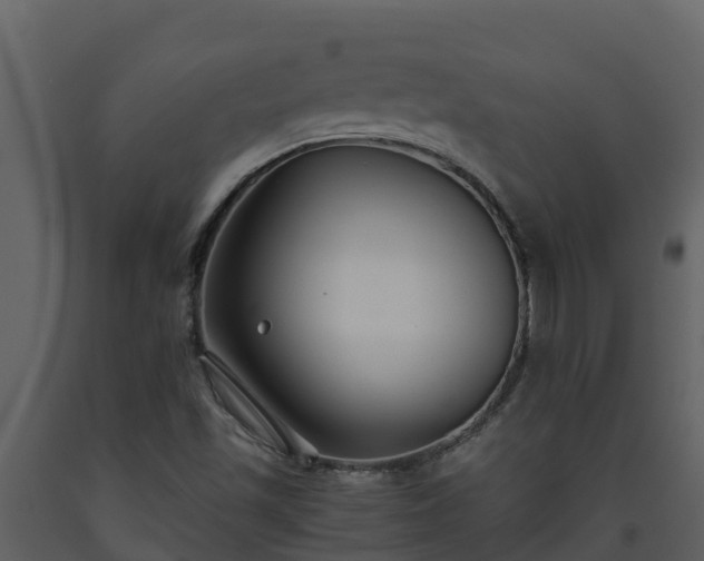 X0000093461501200710191113