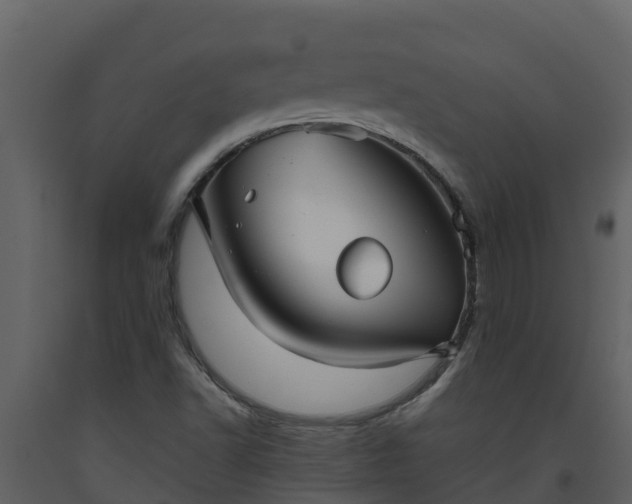 X0000093461502200710191113