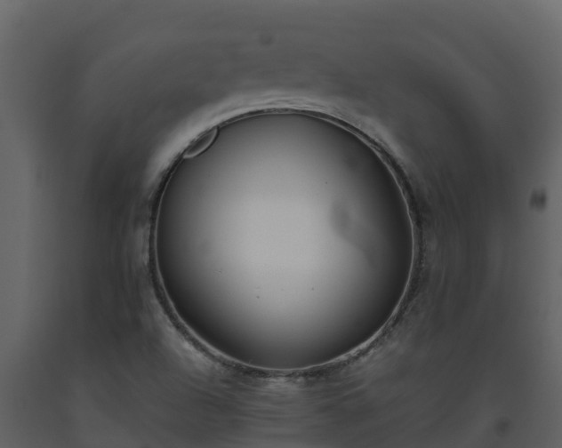 X0000093461504200710191113