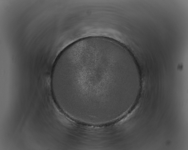 X0000093461505200710191113