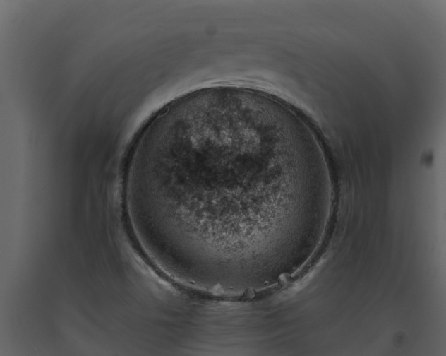 X0000093461506200710191113