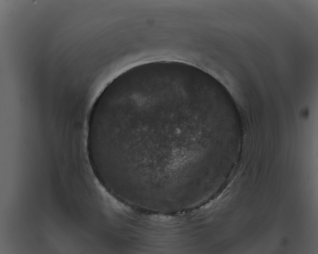 X0000093461508200710191113