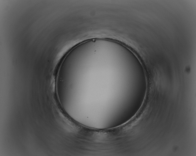 X0000093461509200710191113