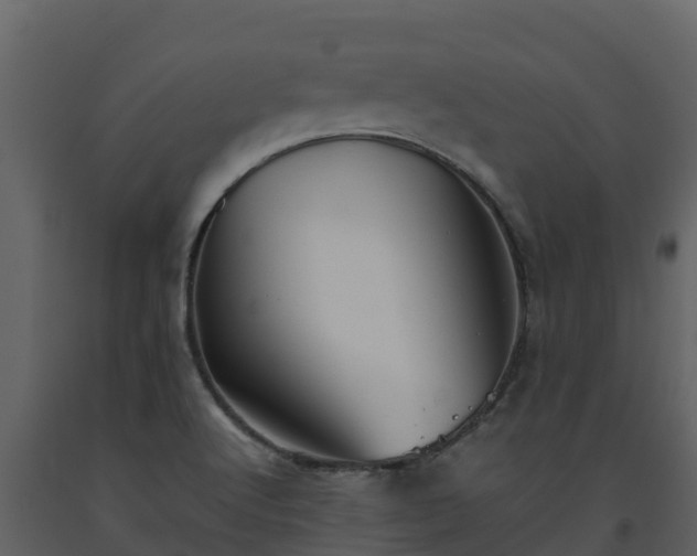 X0000093461512200710191113