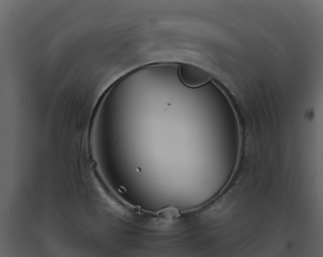 X0000093461513200710191113