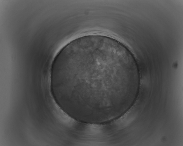 X0000093461514200710191113