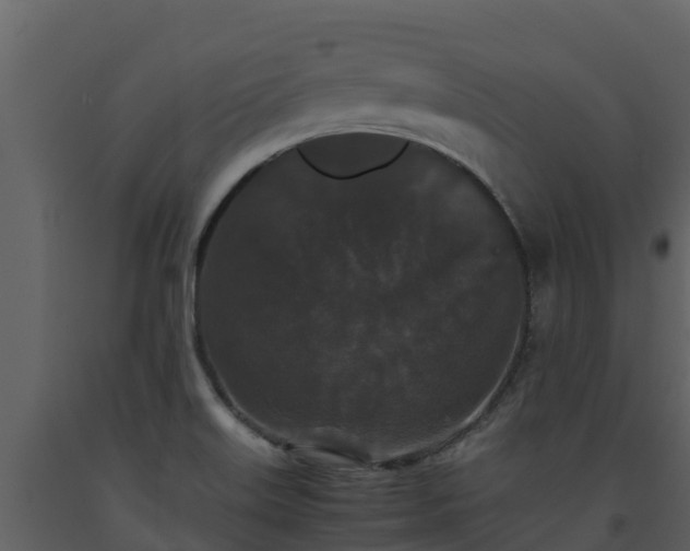 X0000093461515200710191113