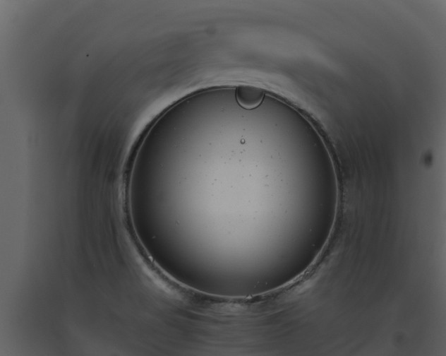 X0000093461517200710191113