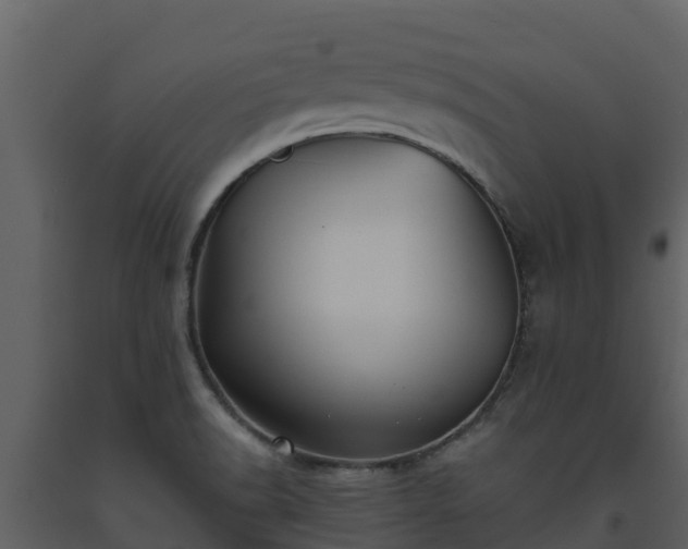 X0000093461518200710191113