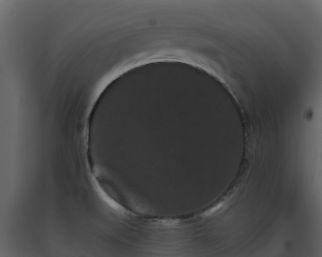 X0000093461519200710191113