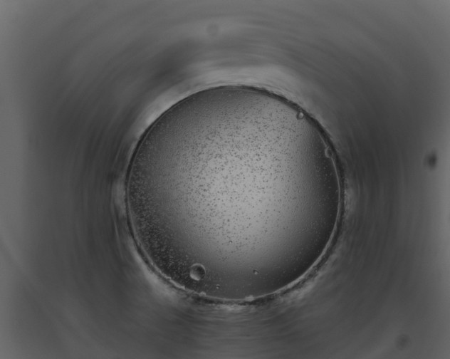 X0000093461521200710191113