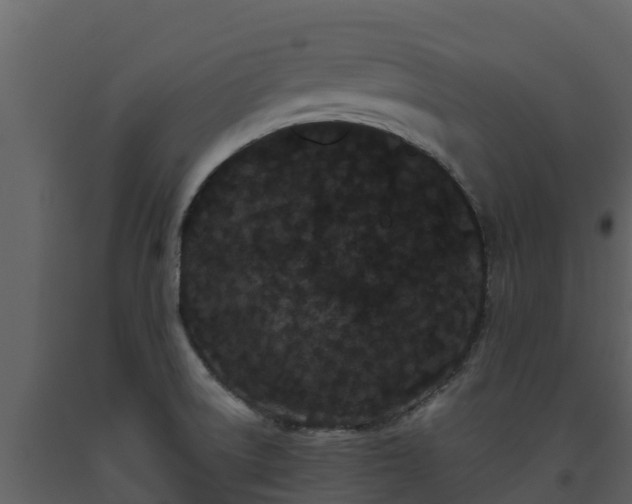 X0000093461522200710191113