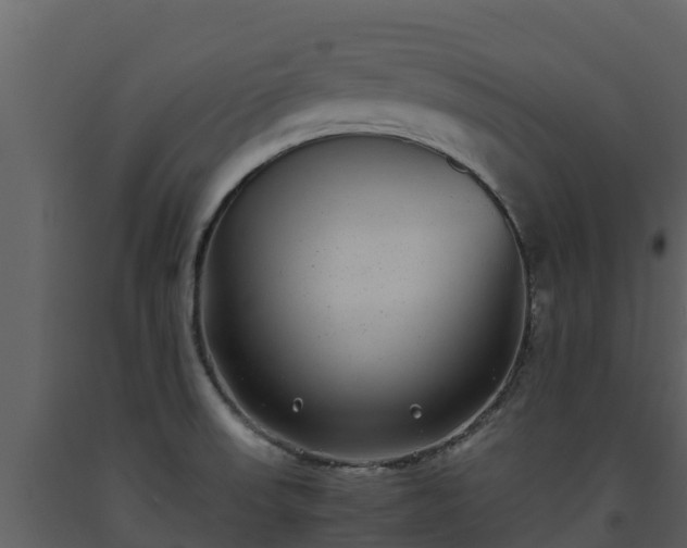 X0000093461523200710191113