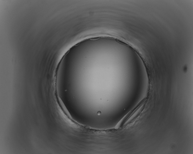 X0000093461524200710191113