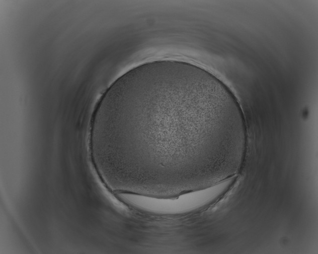 X0000093461525200710191113