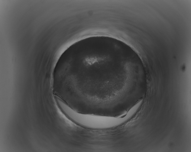 X0000093461527200710191114