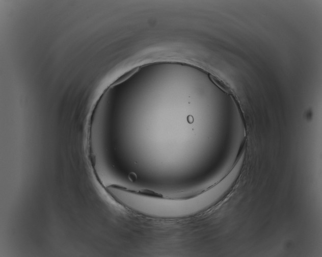 X0000093461528200710191114