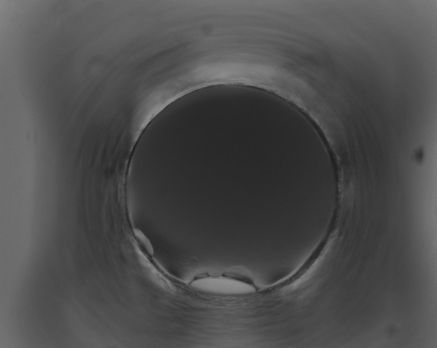 X0000093461529200710191114