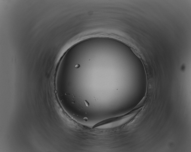 X0000093461530200710191114