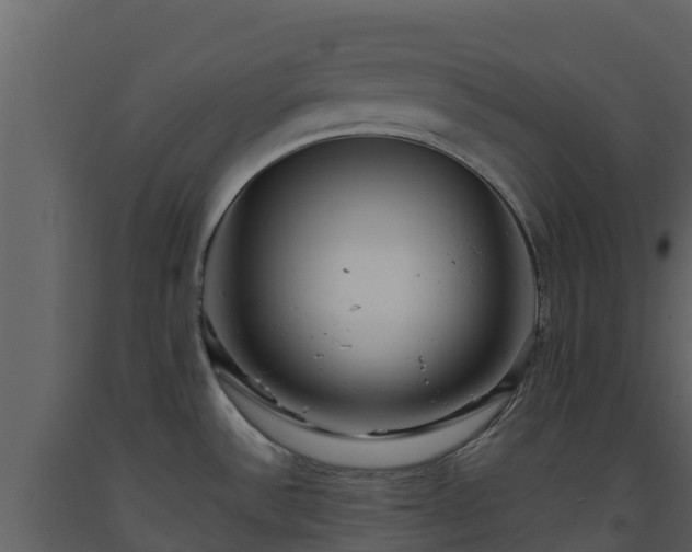 X0000093461532200710191114