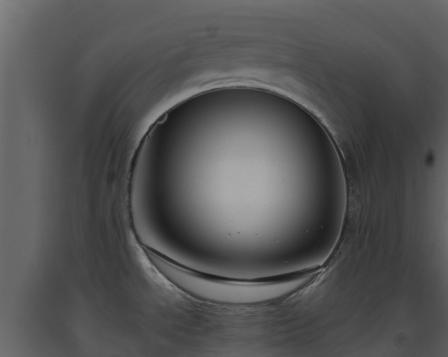 X0000093461534200710191114