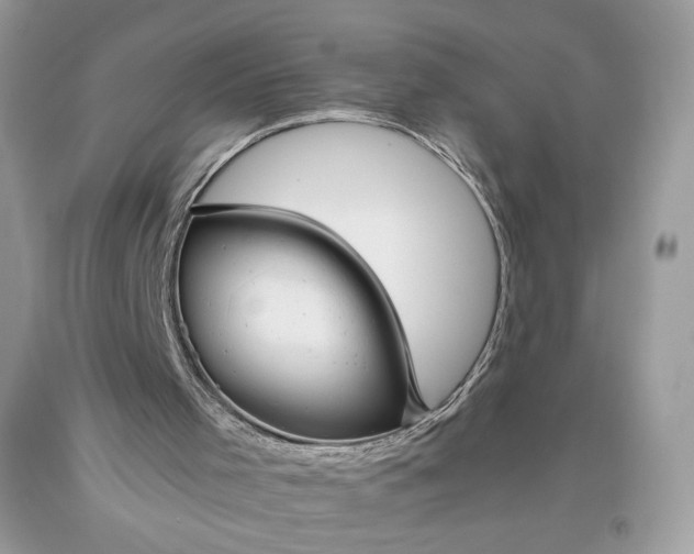 X0000093460001200710261031