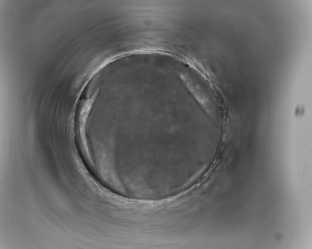 X0000093460002200710261031