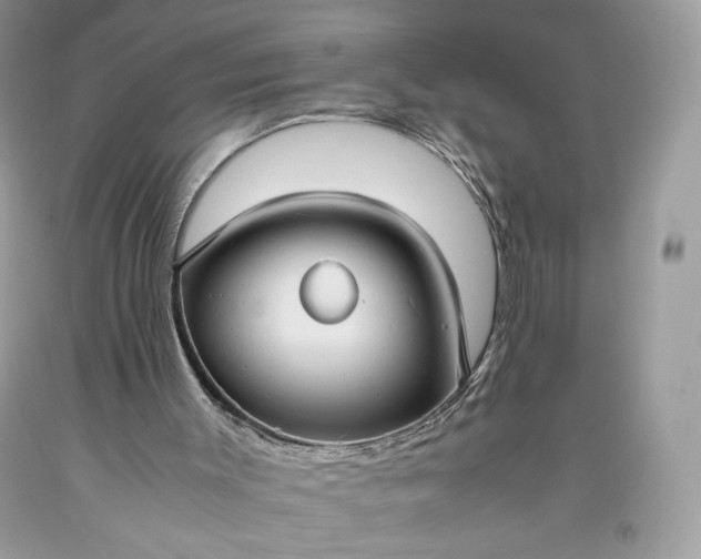 X0000093460003200710261031