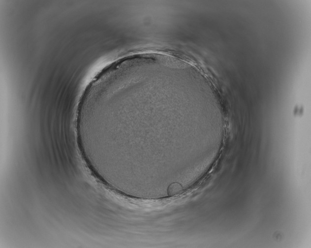 X0000093460006200710261031