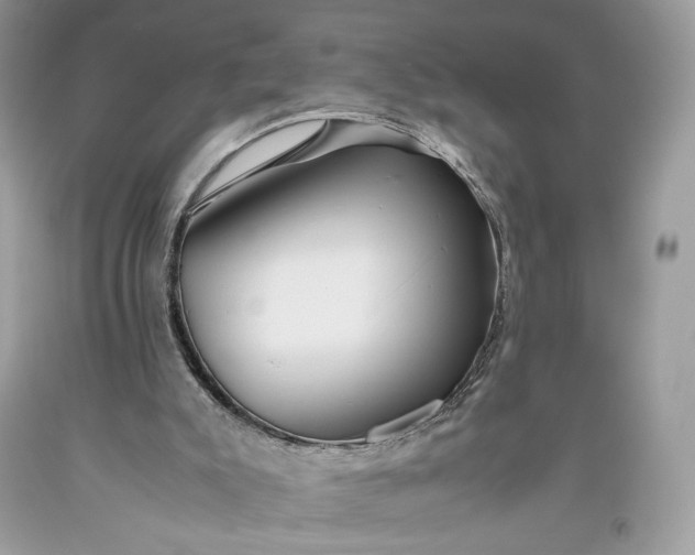 X0000093460007200710261031