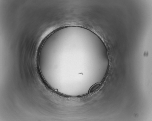 X0000093460008200710261031