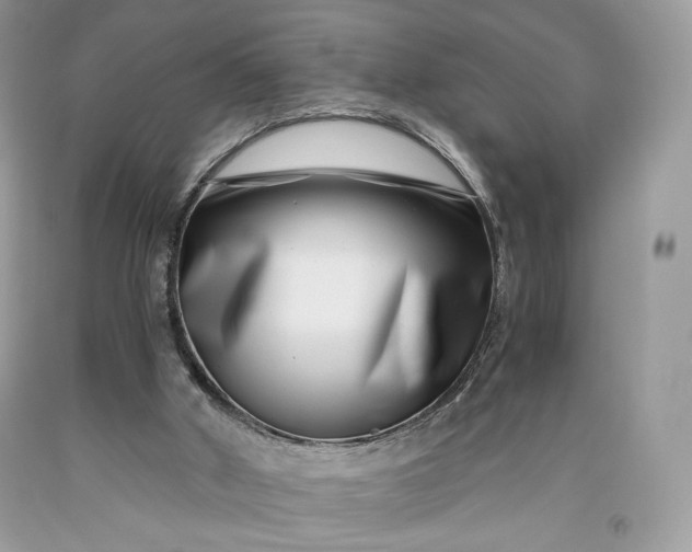 X0000093460010200710261031