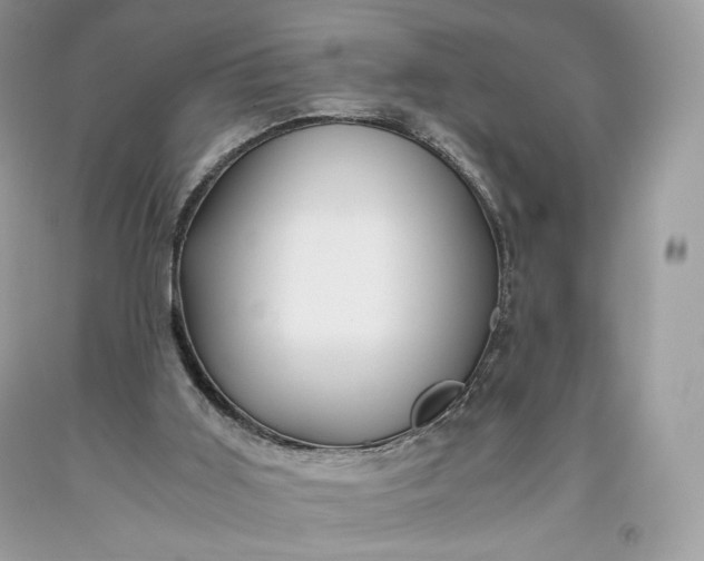 X0000093460011200710261031