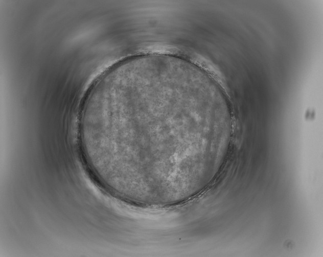 X0000093460012200710261031