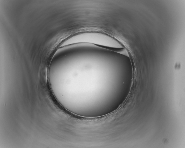 X0000093460013200710261031