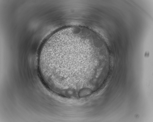 X0000093460016200710261031