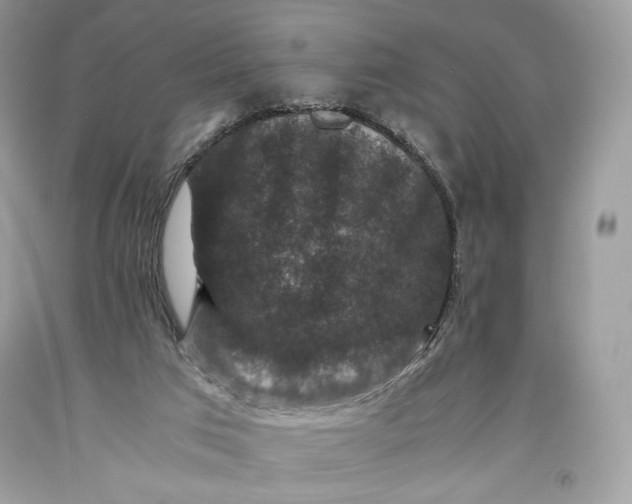 X0000093460017200710261031