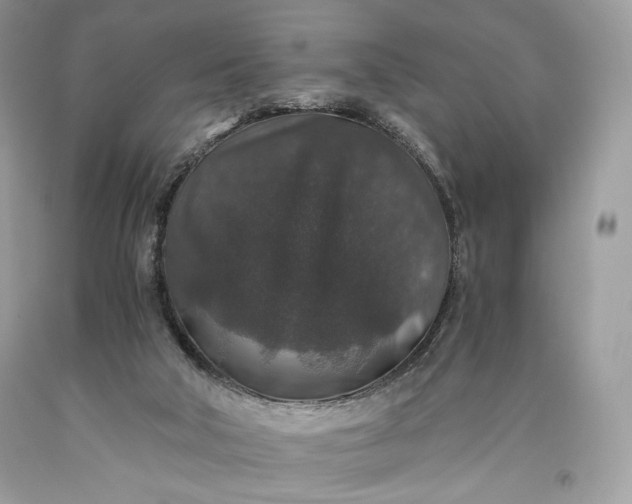 X0000093460018200710261031