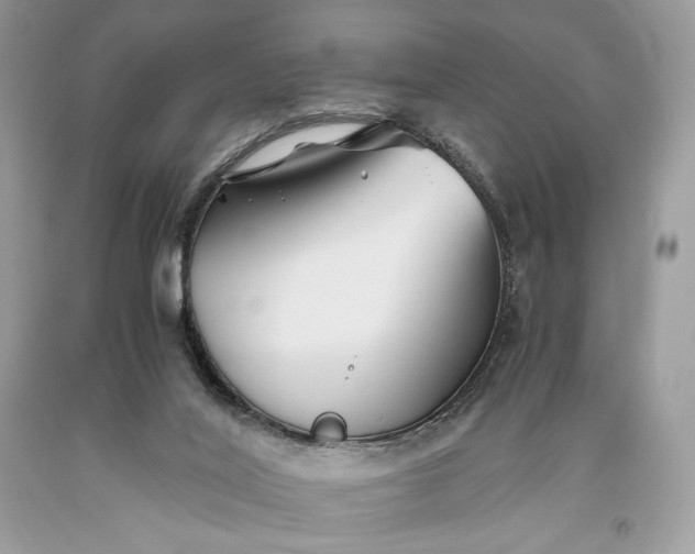 X0000093460020200710261031