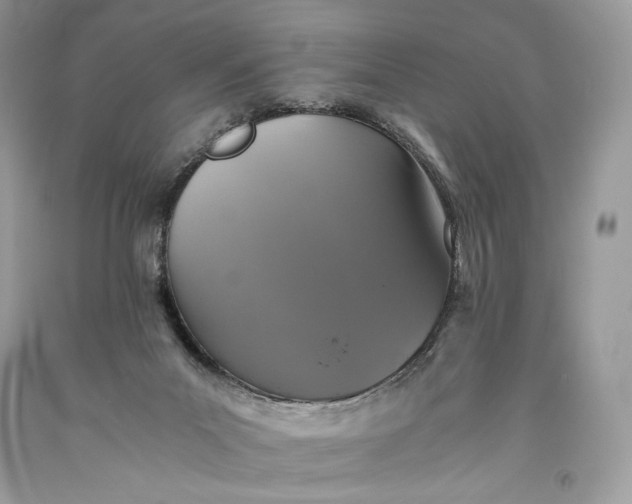 X0000093460023200710261031