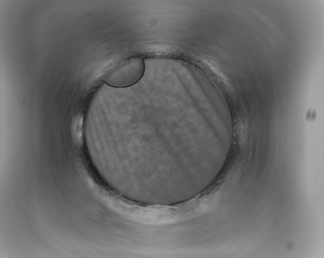 X0000093460024200710261031