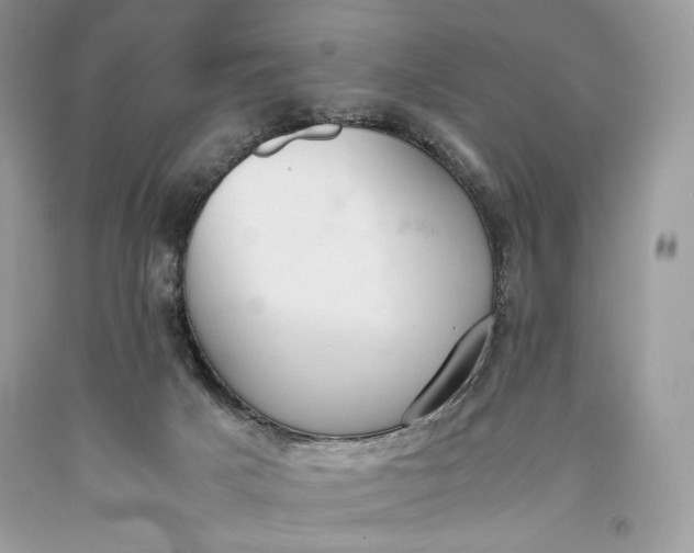 X0000093460025200710261031